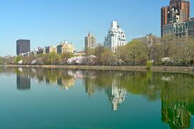 Upper east side moving boxes and moving supplies