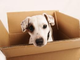 How to save money as a result of the moving boxes you use